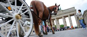 Touristen dürfen theoretisch weiterhin am Brandenburger Tor in die beliebten Kutschen einsteigen – sofern sie welche finden.