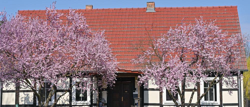 Im Oderbruch stehen viele solcher alten Häuser. Auch in vielen anderen Regionen Brandenburgs locken Land und Natur Städter an, die dort leben und arbeiten wollen. 