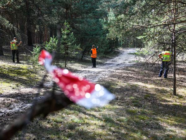 Einsatzkräfte der Polizei suchen in einem Waldgebiet bei Storkow nach Hinweisen zur vermissten Rebecca.