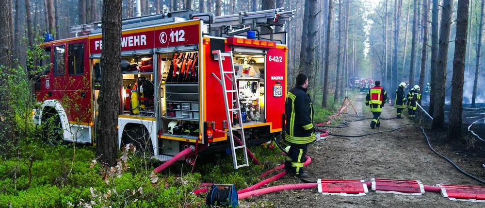Feuerwehr bei einem Waldbrand-Einsatz in Brandenburg (Symbolbild).