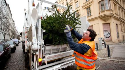 Draußen viel Tännchen: Ab Donnerstag holt die BSR die Weihnachtsbäume ab.