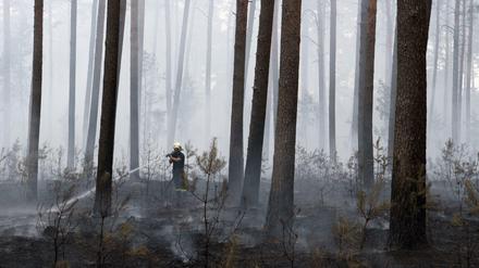 Feuerwehrmänner bekämpfen den Waldbrand rund um die Uhr.