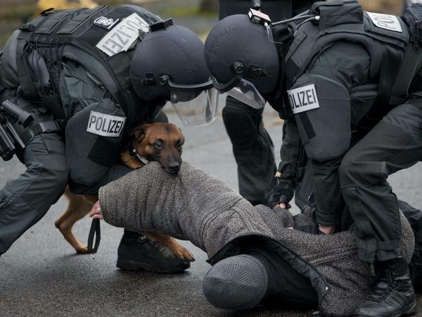 Beamte des hessischen Spezialeinsatzkommandos (SEK) demonstrieren eine Festnahme mithilfe ihres Zugriffhundes. 