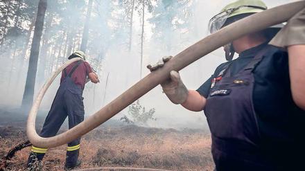 Eine riesige Rauchwolke steigt über dem Waldgebiet auf, in dem rund 600 Feuerwehrmänner gegen die Flammen kämpften.