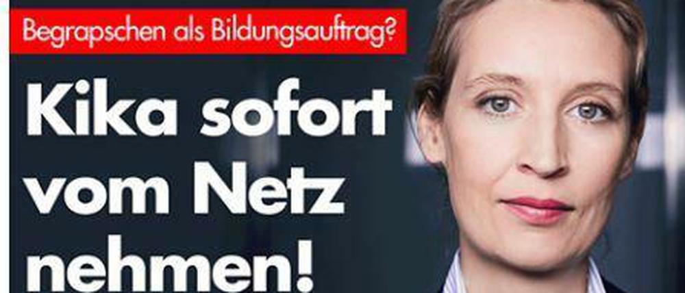 Die AfD-Fraktionsvorsitzende im Bundestag, Alice Weidel, hat den KiKa auf dem Kieker