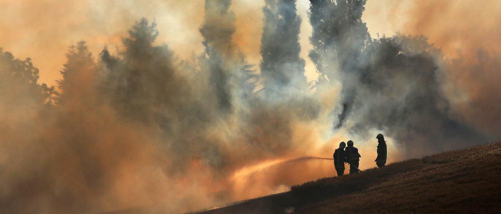 Feuerwehrleute löschen in Mecklenburg-Vorpommern ein Getreidefeld, das in Flammen steht.