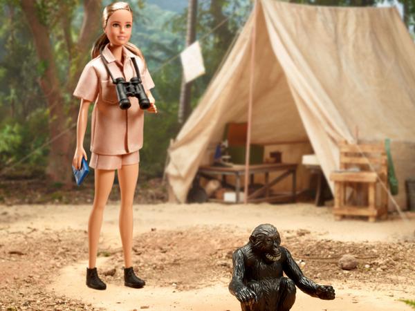 Die Jane-Goodall-Barbie ist mit einem Fernglas und einem Notizbuch für ihre Feldforschungsaufzeichnungen ausgestattet. Auch der Schimpanse "David Greybeard" gehört zum Set. (undatiertes Bild)