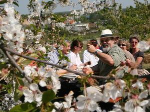 Auch dieses Jahr laden beim Baumblütenfest wieder Höfe und Gärten ein.