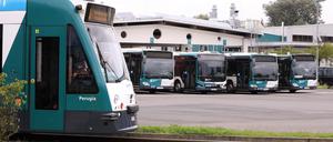 Auslaufmodelle: Der Potsdamer Verkehrsbetrieb stellt seine Busflotte um. 