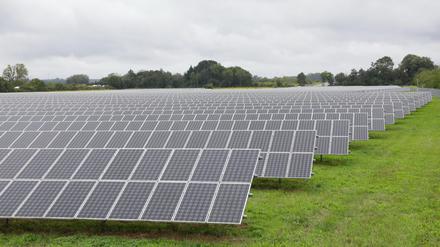 Potsdam gewinnt Energie aus Sonne: Solarflächen nähe Marquardt an der A10.