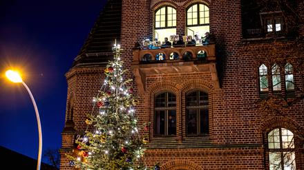 Weihnachtliches Babelsberg, Weihnachtsbaum, Turmbläser.