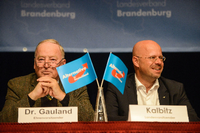 Und unter selber Flagge: Der AfD-Bundessprecher und Ehrenvorsitzender Alexander Gauland und der nun aus der Partei ausgeschlossene Brandenburger Landeschef Andreas Kalbitz bei einem Parteitag im Jahr 2018.