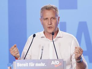 Der Bundestagsabgeordnete Petr Bystron (AfD).