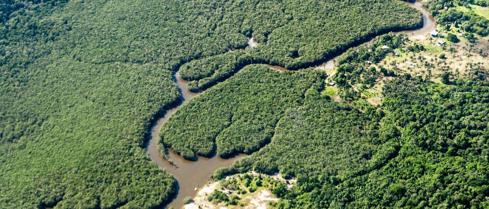 Ein kleiner Fluss schlängelt sich durch den Regenwald im Amazonasgebiet. 