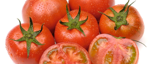 Amela-Tomaten: in Japan gezüchtet, bei Granada angebaut.