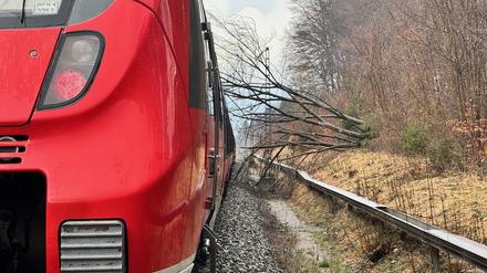 Nach Baumfällarbeiten liegt eine Rotbuche in Pöcking in Bayern im Gleisbereich und auf einem Zug.