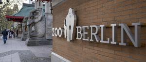 ARCHIV - 18.11.2022, Berlin: «Zoo Berlin» steht an einer Fassade am Eingang zum Berliner Zoo. (zu dpa: «Neue Preise für Berliner Zoo, Tierpark und Aquarium») Foto: Monika Skolimowska/dpa +++ dpa-Bildfunk +++