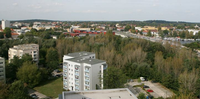 Für einen Wohnungsbau am Babelsberger Park setzt Potsdam seinen UNESCO-Welterbetitel aufs Spiel.