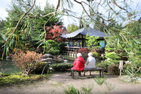 Im Bonsaigarten Ferch wird das Japanische Lichterfest gefeiert.
