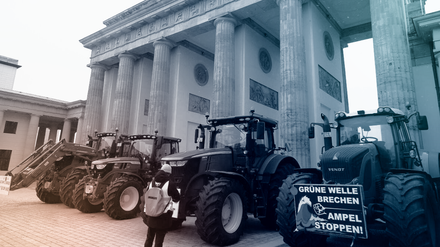 Bauernproteste am Brandenburger Tor