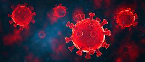 Bislang fehlen eindeutige Belege dafür, das Sars-Cov-2 das Immunsystem nachhaltig schwächt.