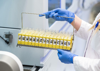 Eine Labor-Mitarbeiterin eines Labors überführt einen trockenen Abstrich eines molekularbiologischen Tests auf das SARS-CoV-2-Virus in eine Flüssigkeit.