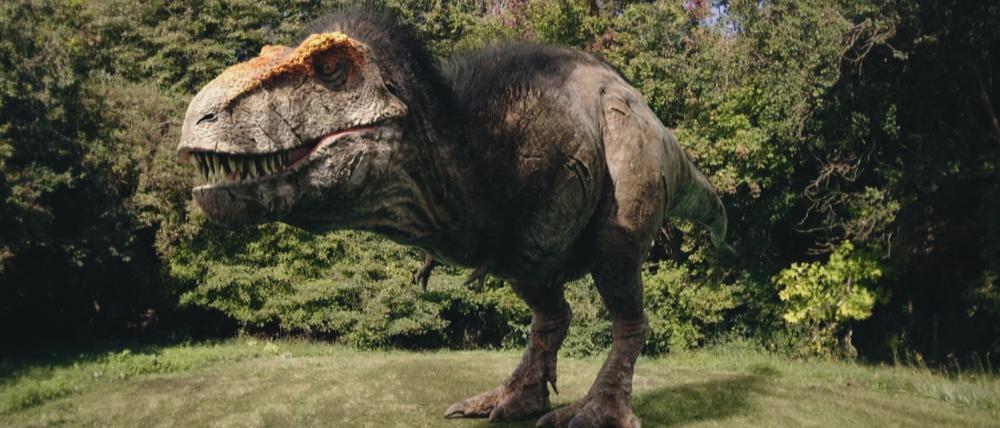 Den Tyrannosaurus Rex sollten wir uns nicht mehr ohne Federn vorstellen, sagen Forscher. 
