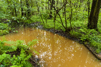 Zu hohe Arsenwerte. Rötlich-braunes eisenhaltiges Grundwasser, das vom Tagebau Welzow-Süd kommt, fließt am den Haidemühler Graben nahe Welzow (Brandenburg) entlang.