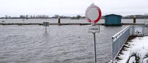 Elbehochwasser in Wittenberge/ Prignitz, 5. Januar 2024, 