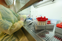 Corona-Tests werden im Mai 2020 im Klinikum-eigenen Labor ausgewertet. 