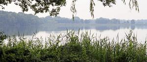 Der Fahrlander See bietet vielen Vögeln einen Lebensraum.