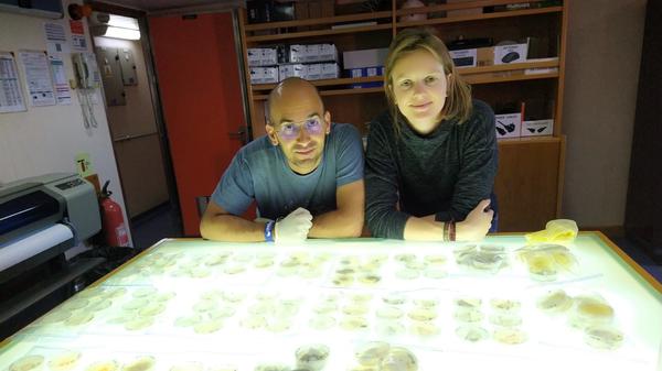 Im Labor züchten Federico Baltar und Eva Breyer von der Uni Wien die in Wasserproben gefundenen Mikroorganismen an und untersuchen sie genauer.