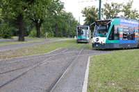 In einigen Jahren soll die Tram durch Neu Fahrland nach Krampnitz fahren.