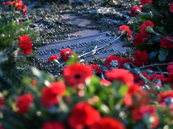 Rote Nelken für die 1919 ermordete Kommunistenführerin Rosa Luxemburg.