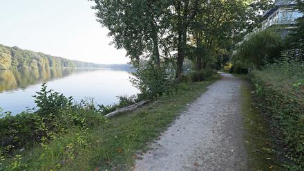 Der Uferweg am Griebnitzsee: Mehrfach endet er derzeit im Nichts. 