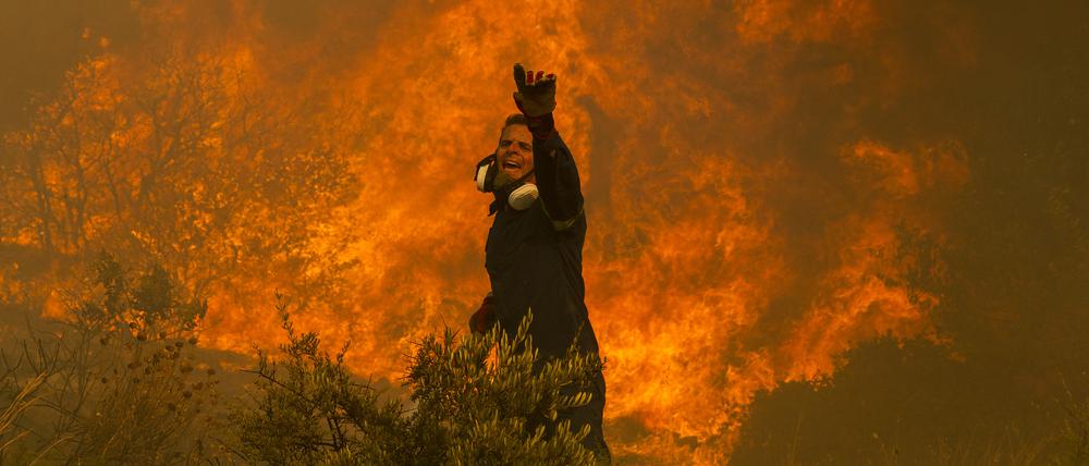 Ein Feuerwehrmann kämpft in einem Vorort der griechischen Hauptstadt Athen gegen die Flammen.