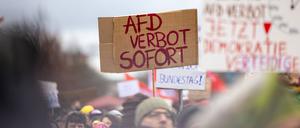 Tausende Menschen demonstrierten im Januar vor dem Brandenburger Tor gegen Rechts und die AfD. Die Spitze der Unionsfraktion hält ein Verbotsverfahren für nicht zielführend.