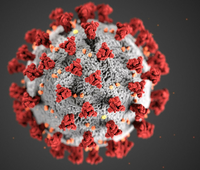 Diese Illustration, die in den Centers for Disease Control and Prevention (CDC) erstellt wurde, zeigt die ultrastrukturelle Morphologie, die Coronaviren aufweisen. 