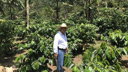 Der Kaffeebauer José de Leon steht auf einer Plantage im guatemaltekischen Department San Marcos. 