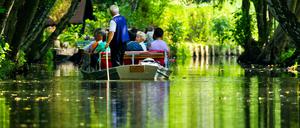 Touristen fahren mit einem Kahn am 30.08.2013 über ein Fließ im Spreewalddorf Lehde nahe Lübbenau (Brandenburg). Foto: Patrick Pleul/dpa ++ +++ dpa-Bildfunk +++