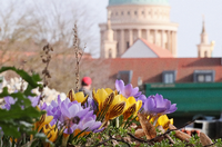 Während in Potsdam endlich der Frühling einkehrt, herrscht in der Ukraine bitterer Krieg.
