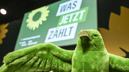 Am Samstag begann in Potsdam der Parteitag der Brandenburger Grünen.