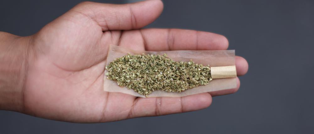 Rolling-Paper mit Marihuana, aus dem ein Joint gebaut werden soll.