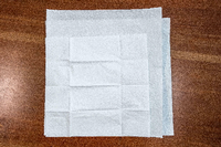 Breiten Sie ein Papiertaschentuch aus und legen Sie es auf die beiden ersten Blätter. Das Papiertaschentuch wird später die Innenseite Ihrer Schutzmaske sein.
