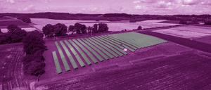 Bäuerinnen und Bauern haben mit zunehmender Dürre zu kämpfen, nicht nur in Brandenburg. Sie passen sich an den Klimawandel unter anderen mit Agri-Photovoltaik-Anlagen an, unter denen Tiere und Pflanzen Schutz finden.