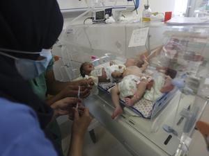 Medizinisches Personal kümmert sich um frühgeborene palästinensische Babys (Archivbild).