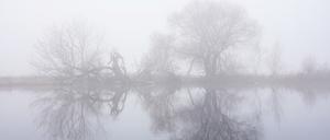 Kahle Bäume spiegeln sich bei dichtem Nebel im Wasser der Unteren Havel. Wechselhaftes und windiges Wetter erwartet die Menschen in Berlin und Brandenburg am Wochenende.