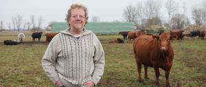 Bio-Landwirt Andreas Bangert aus Pessin im Havelland hält seine Rinder auf wiedervernässtem Moor.