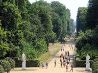 Revier der Schlösserstiftung: Weg durch den Park Sanssouci zum Neuen Palais.