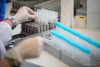 Die Mitarbeiterin eins PCR-Labors in Stuttgard bereitet Tests vor. Foto: Bernd Weißbrod/dpa